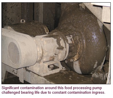 Food processing pump with signficant contamination conditions